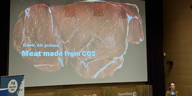Meat Made From Co2 Oidagen